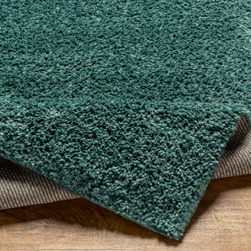 Surya Deluxe Shag DXS-2326 Sage Modern Machinemade Rug