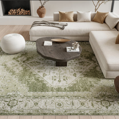 Nourison Home Astra Machine Washable  Ivory Green  Traditional