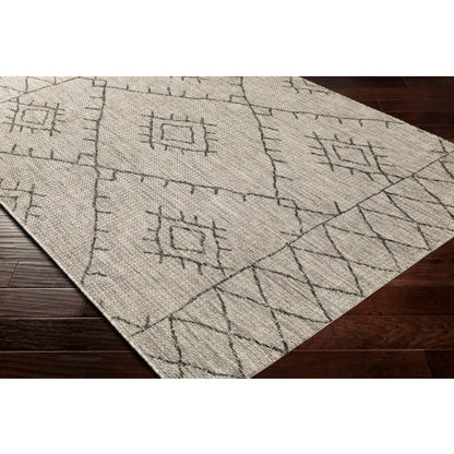 Surya Eagean EAG-2328 Taupe Global Machinemade Rug