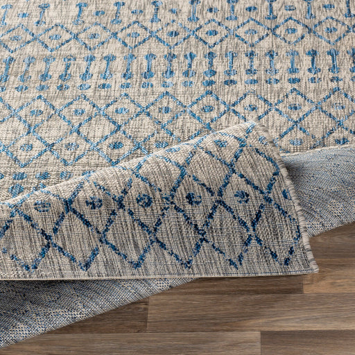Surya Eagean EAG-2332 Light Blue Global Machinemade Rug