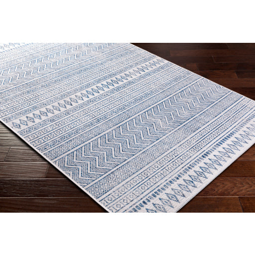 Surya Eagean EAG-2344 Light Blue Global Machinemade Rug