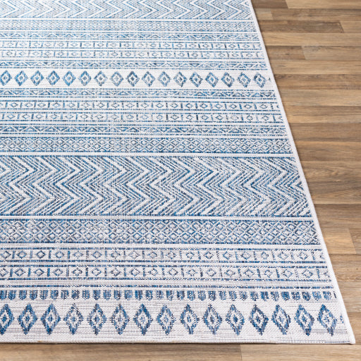 Surya Eagean EAG-2344 Light Blue Global Machinemade Rug
