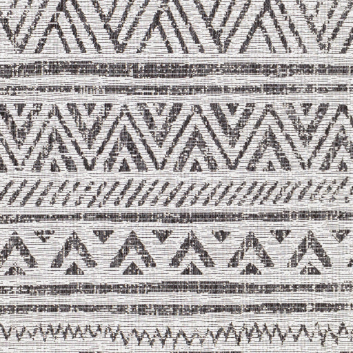 Surya Eagean EAG-2347 Black Global Machinemade Rug