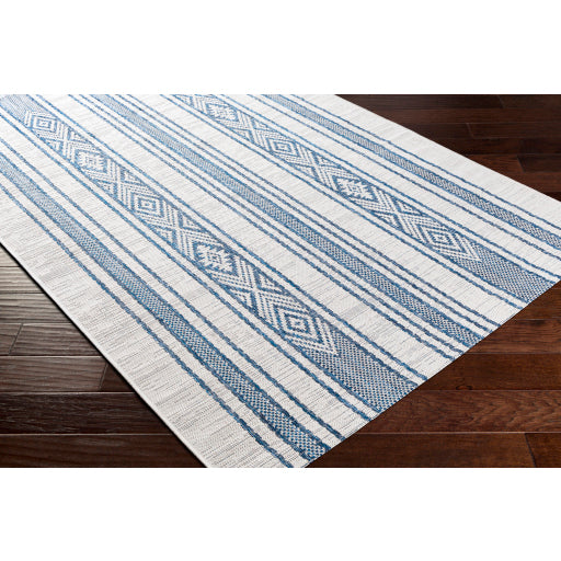 Surya Eagean EAG-2351 Dark Blue Global Machinemade Rug