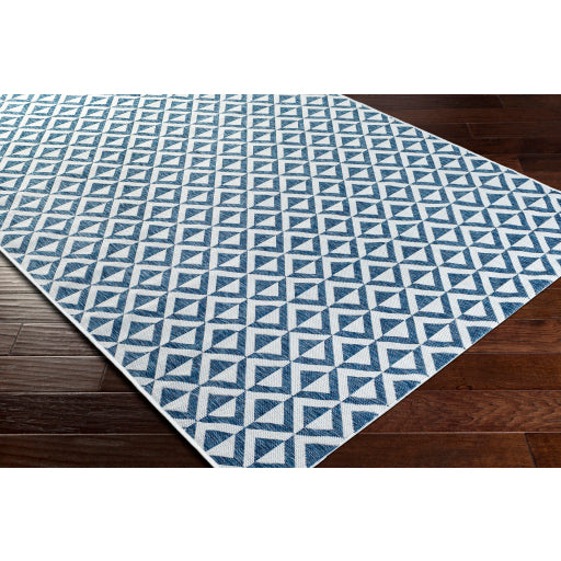 Surya Eagean EAG-2372 Dark Blue Modern Machinemade Rug