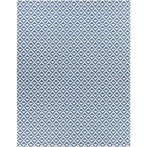 Surya Eagean EAG-2372 Dark Blue Modern Machinemade Rug