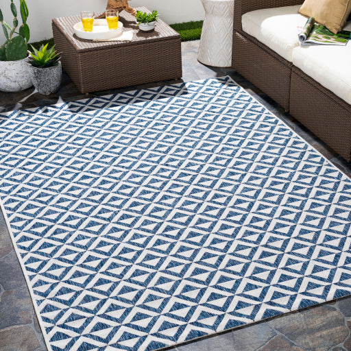 Surya Eagean EAG-2372 Dark Blue Modern Machinemade Rug