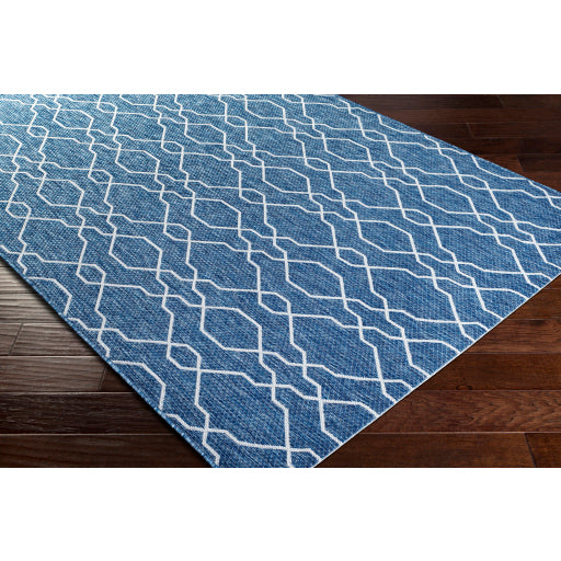Surya Eagean EAG-2381 Dark Blue Traditional Machinemade Rug