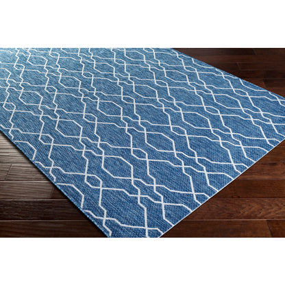 Surya Eagean EAG-2381 Dark Blue Traditional Machinemade Rug