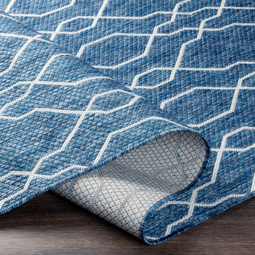 Surya Eagean EAG-2381 Dark Blue Traditional Machinemade Rug