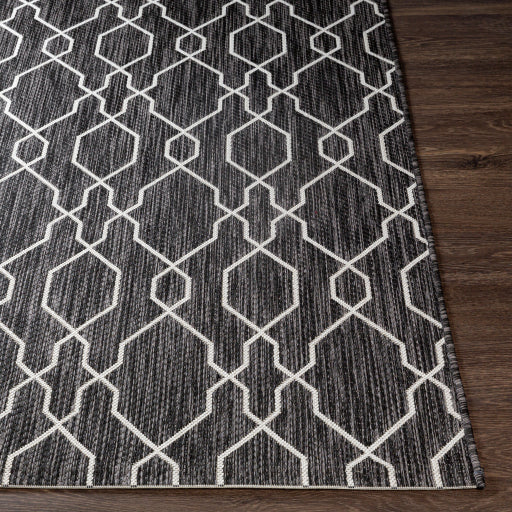 Surya Eagean EAG-2384 Charcoal Traditional Machinemade Rug