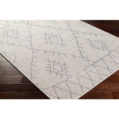 Surya Eagean EAG-2401 Oatmeal Global Machinemade Rug