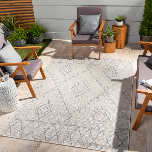 Surya Eagean EAG-2401 Oatmeal Global Machinemade Rug