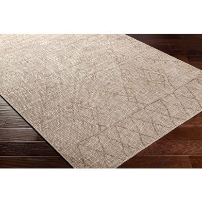 Surya Eagean EAG-2402 Light Beige Global Machinemade Rug