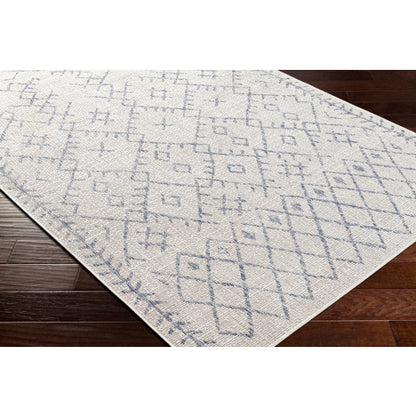 Surya Eagean EAG-2403 Oatmeal Global Machinemade Rug