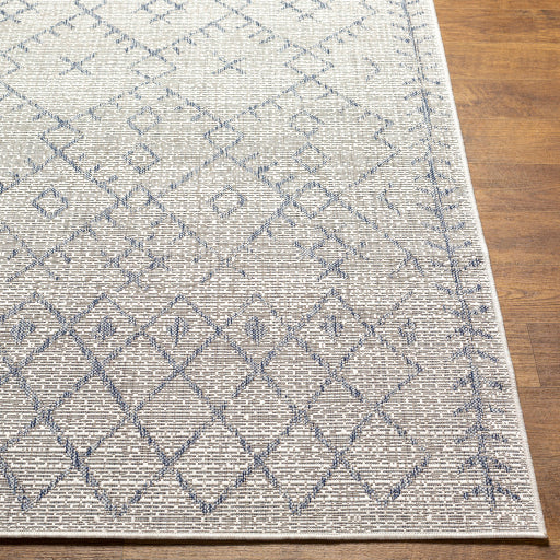Surya Eagean EAG-2403 Oatmeal Global Machinemade Rug