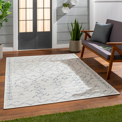 Surya Eagean EAG-2403 Oatmeal Global Machinemade Rug
