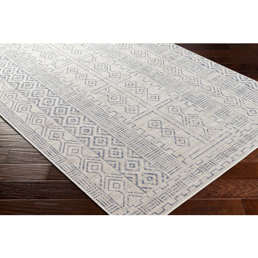 Surya Eagean EAG-2414 Oatmeal Global Machinemade Rug