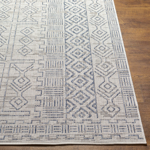 Surya Eagean EAG-2414 Oatmeal Global Machinemade Rug