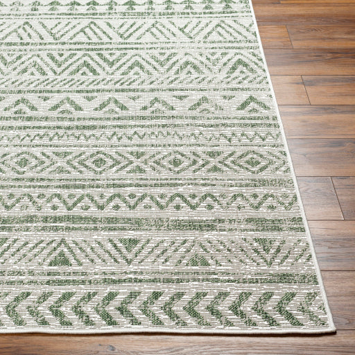 Surya Eagean EAG-2429 Grass Green Global Machinemade Rug