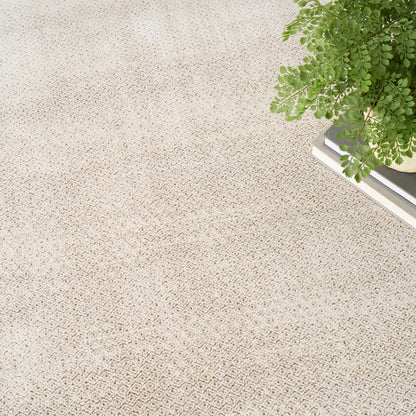 DKNY Grand Street  Ivory Taupe  Contemporary