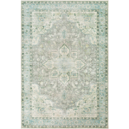Surya Erin ERN-2309 Cream Traditional Machinemade Rug