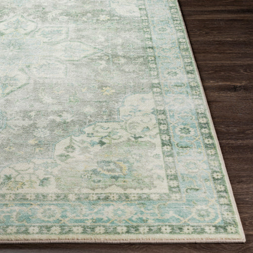 Surya Erin ERN-2309 Cream Traditional Machinemade Rug