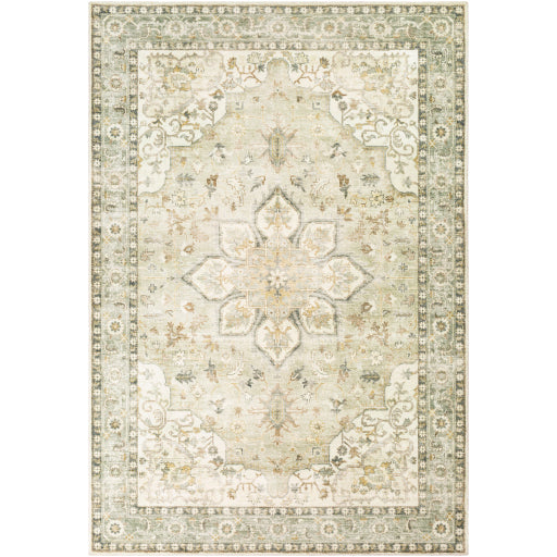 Surya Erin ERN-2310 Cream Traditional Machinemade Rug