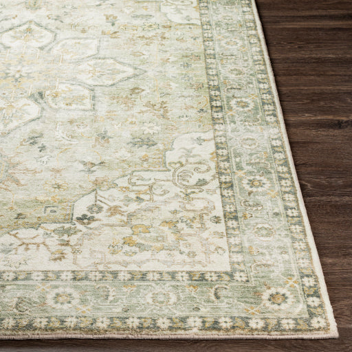 Surya Erin ERN-2310 Cream Traditional Machinemade Rug