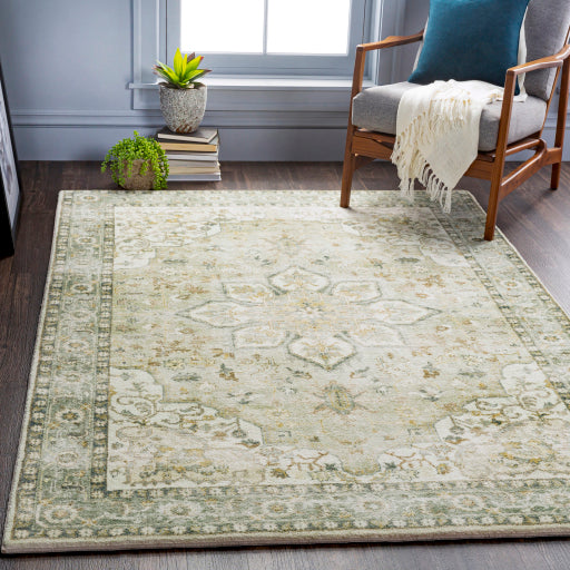 Surya Erin ERN-2310 Cream Traditional Machinemade Rug