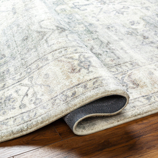 Surya Erin ERN-2317 Cream Traditional Machinemade Rug