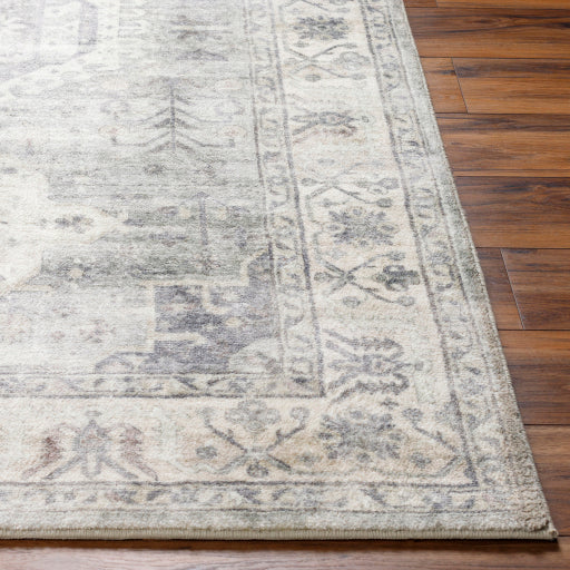 Surya Erin ERN-2317 Cream Traditional Machinemade Rug