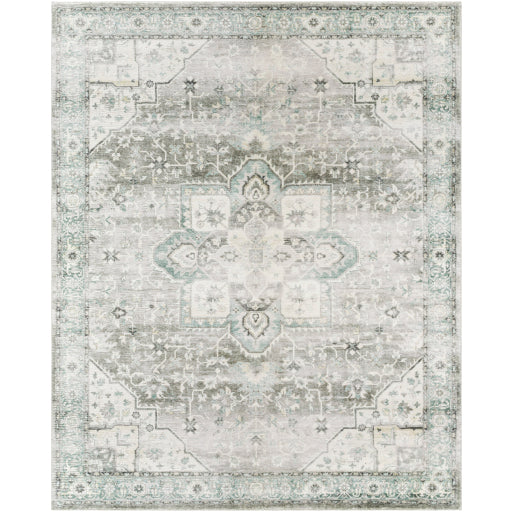 Surya Erin ERN-2319 Cream Traditional Machinemade Rug