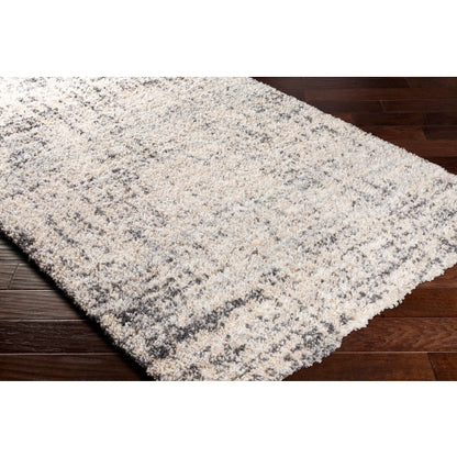 Surya Eskimo Shag ESG-2300 Black Modern Machinemade Rug