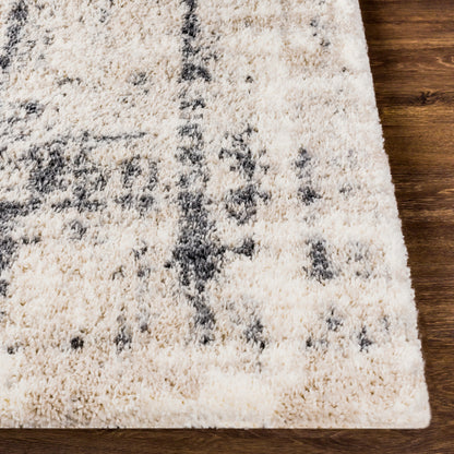 Surya Eskimo Shag ESG-2306 Light Beige Modern Machinemade Rug
