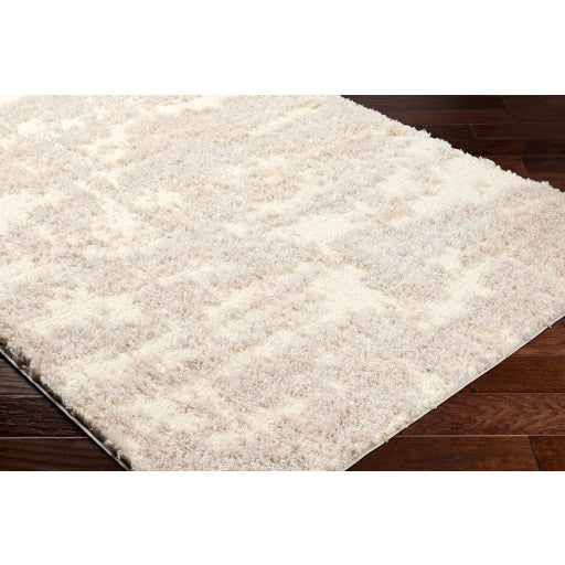 Surya Everton Plus EVP-2300 Ivory Modern Machinemade Rug