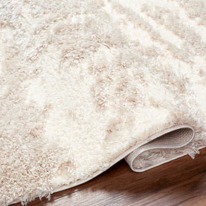 Surya Everton Plus EVP-2300 Ivory Modern Machinemade Rug