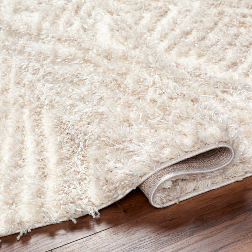 Surya Everton Plus EVP-2302 Ivory Modern Machinemade Rug