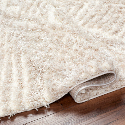 Surya Everton Plus EVP-2302 Ivory Modern Machinemade Rug