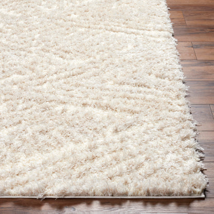 Surya Everton Plus EVP-2302 Ivory Modern Machinemade Rug