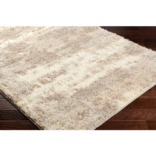 Surya Everton Plus EVP-2304 Ivory Modern Machinemade Rug