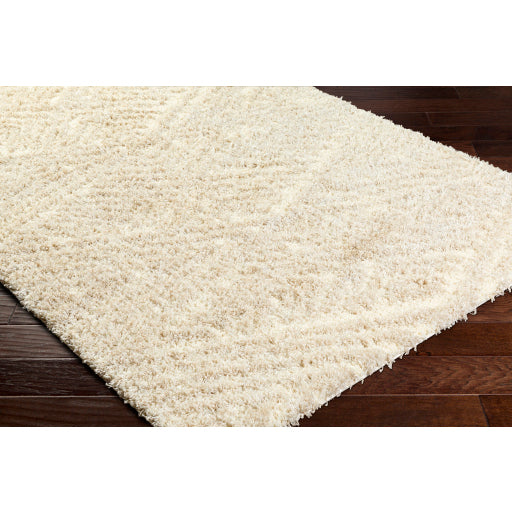 Surya Everton Plus EVP-2306 Ivory Global Machinemade Rug