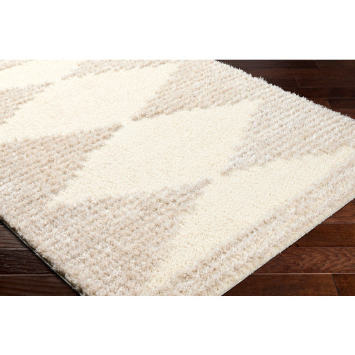 Surya Everton Plus EVP-2308 Ivory Global Machinemade Rug