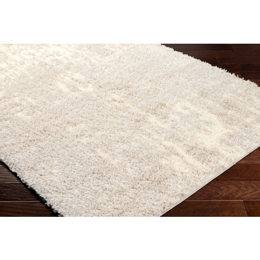 Surya Everton Plus EVP-2311 Ivory Modern Machinemade Rug