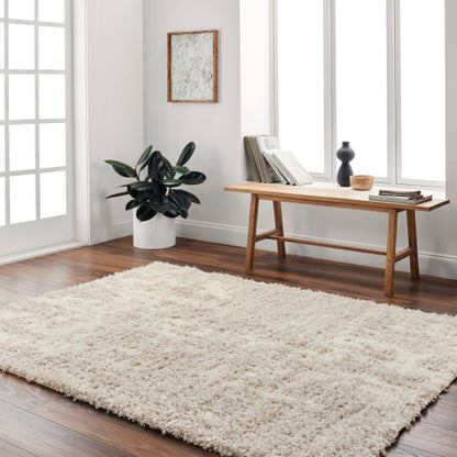 Surya Everton Plus EVP-2311 Ivory Modern Machinemade Rug