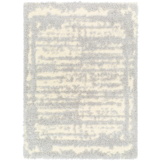 Surya Everton Plus EVP-2316 Light Gray Modern Machinemade Rug