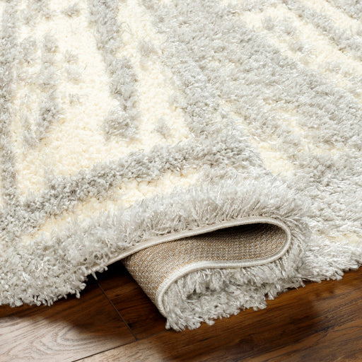 Surya Everton Plus EVP-2316 Light Gray Modern Machinemade Rug