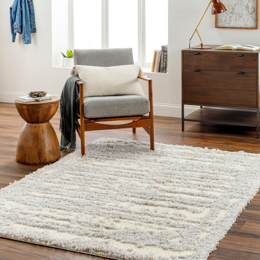 Surya Everton Plus EVP-2316 Light Gray Modern Machinemade Rug
