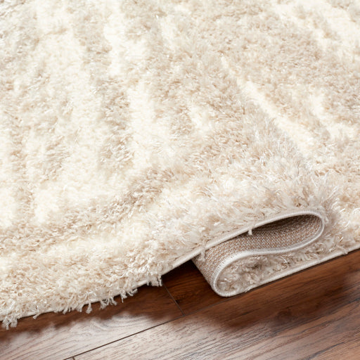 Surya Everton Plus EVP-2317 Ivory Modern Machinemade Rug