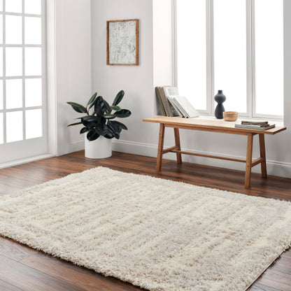 Surya Everton Plus EVP-2317 Ivory Modern Machinemade Rug